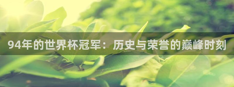 世界杯足球赛2026：94年的世界杯冠军：历史与荣誉的巅峰时刻