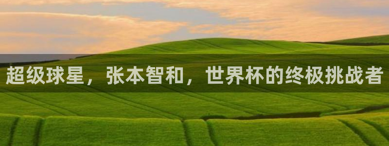 2026世界杯：超级球星，张本智和，世界杯的终极挑战者