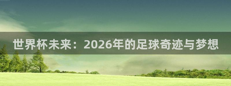 2026男足世界杯赛程：世界杯未来：2026年的足球奇迹与梦想