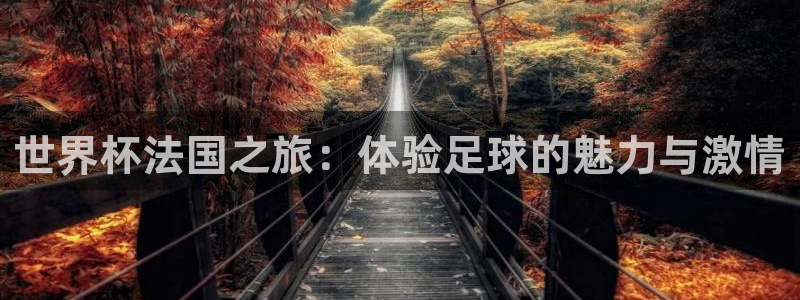 世界杯直播在线观看入口：世界杯法国之旅：体验足球的魅力与激情