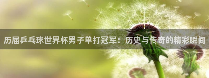 世界杯欧洲预选赛赛程：历届乒乓球世界杯男子单打冠军：历史与传奇的精彩瞬间