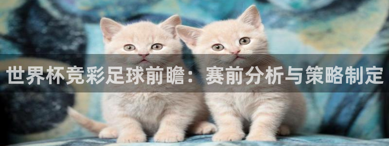 2026世界杯买球：世界杯竞彩足球前瞻：赛前分析与策略制定