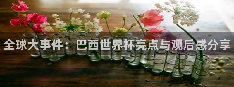 世界杯官网：全球大事件：巴西世界杯亮点与观后感分享