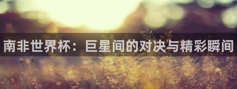 免费足球比赛直播高清：南非世界杯：巨星间的对决与精彩瞬间