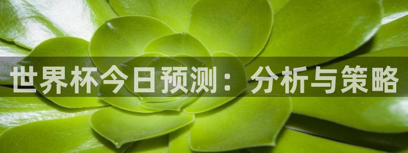 2026世界杯赛程时间表最新：世界杯今日预测：分析与策略