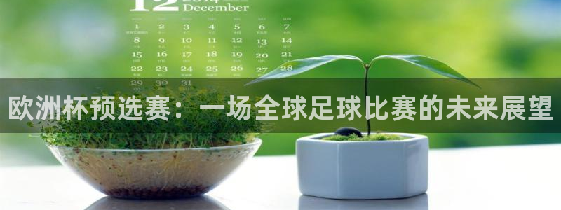 联赛杯直播：欧洲杯预选赛：一场全球足球比赛的未来展望