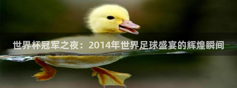 2026年足球世界杯赛程时间表：世界杯冠军之夜：2014年世界足球盛宴的辉煌瞬间