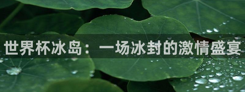 2006世界杯：世界杯冰岛：一场冰封的激情盛宴