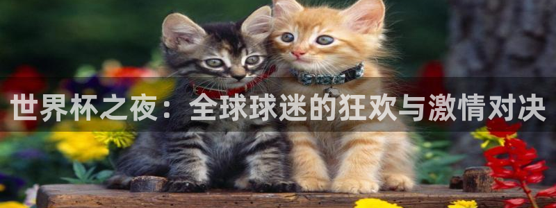 世界杯直播高清：世界杯之夜：全球球迷的狂欢与激情对决