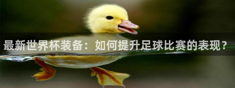足球比分直播世界杯：最新世界杯装备：如何提升足球比赛的表现？